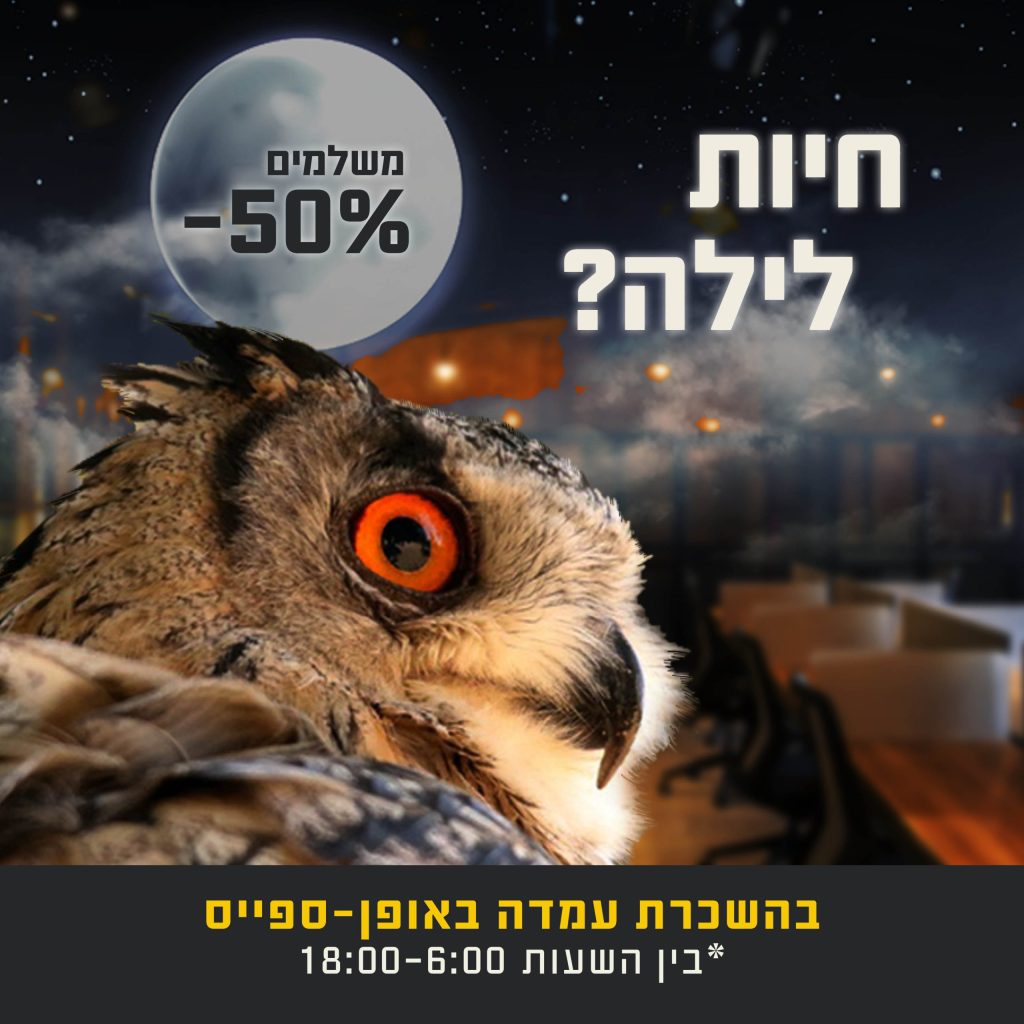 קריאטיב ועיצוב > פוסט מבצע ״לולים״