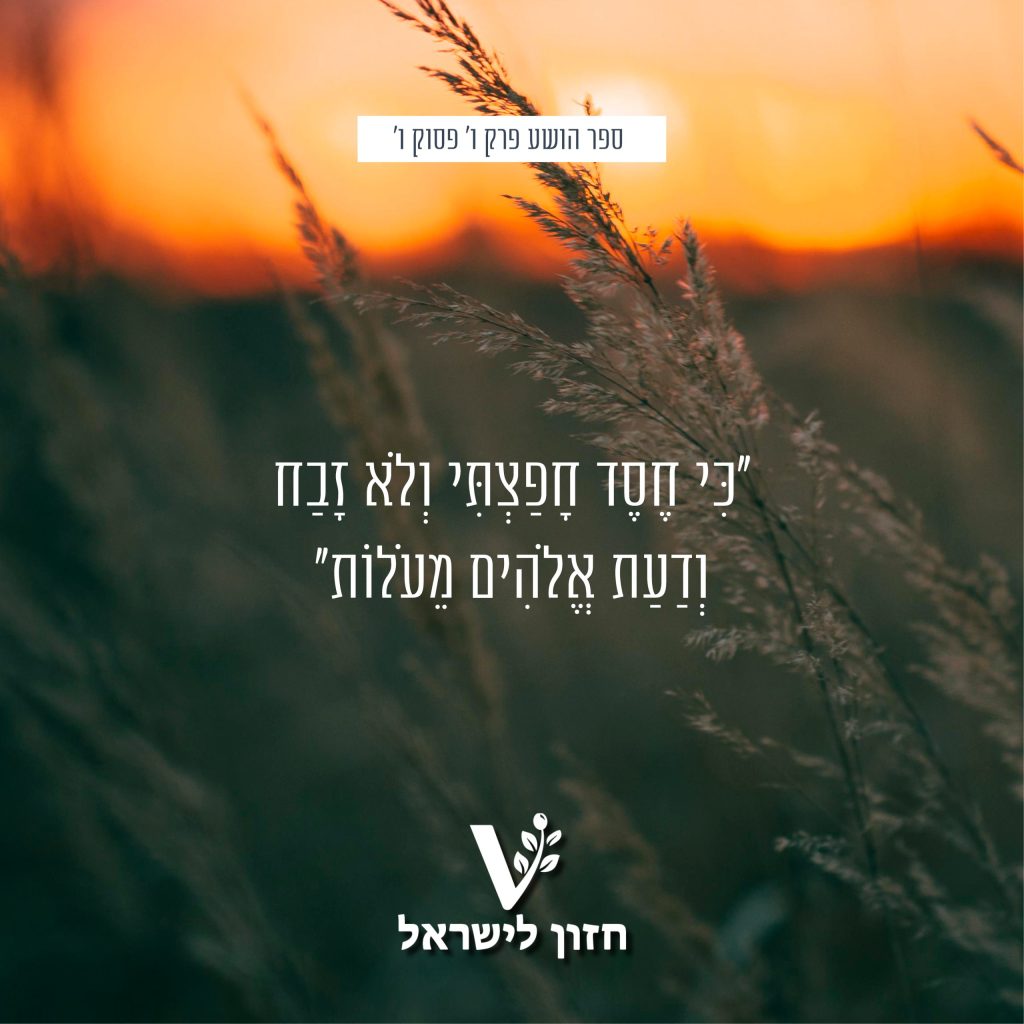 פיד עמותת חזון לישראל